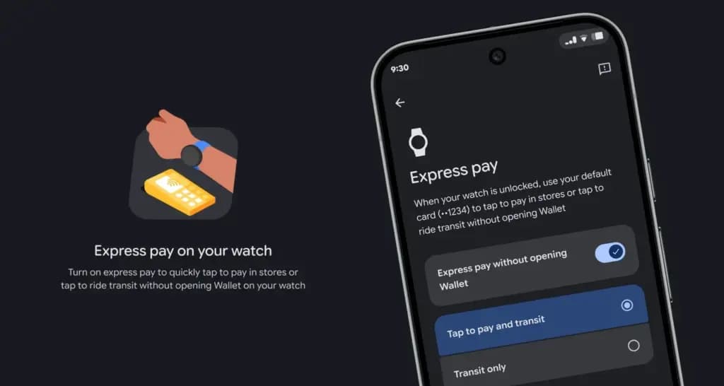 Google Wallet Express Pay for google pixel watch