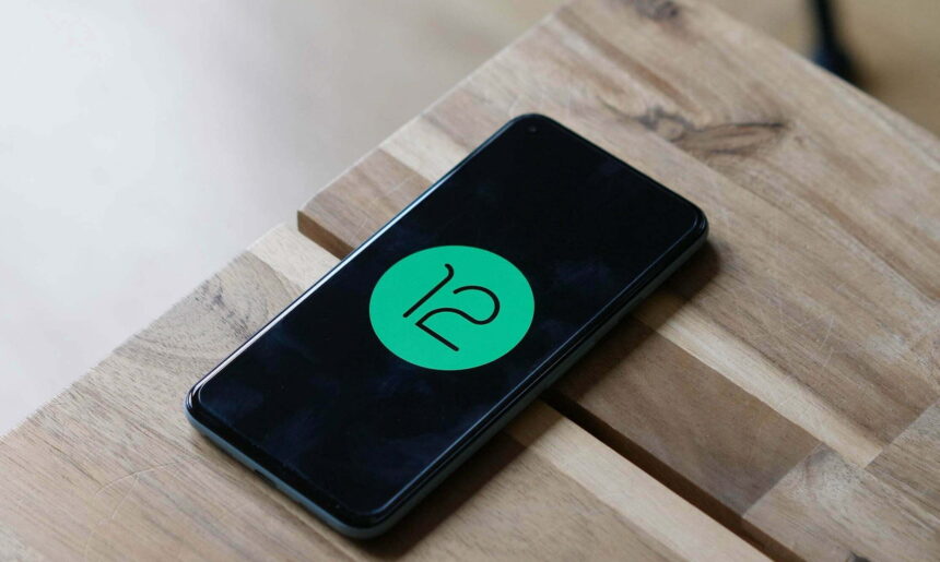 How to flash Android 12 Developer Preview 11 Android 12 logo 6