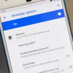 android 12 developer tools