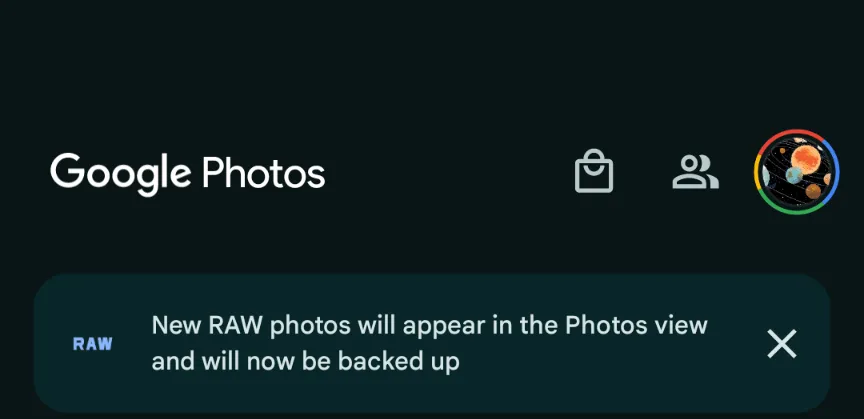 google photos raw backup