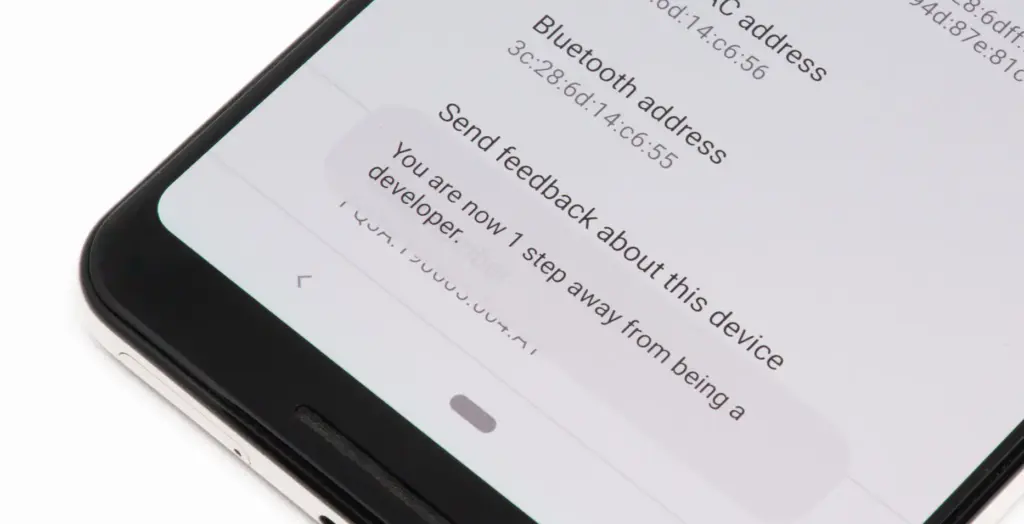 android developer option enabled